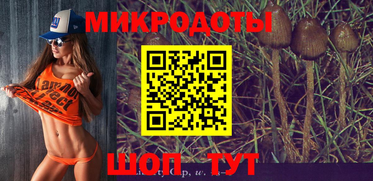Псилоцибиновые грибы мицелий Строитель