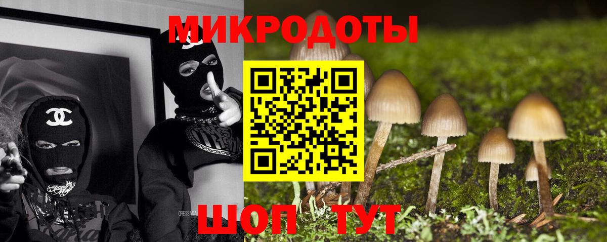 Строитель  Псилоцибиновые грибы Cubensis  Вход с VPN 